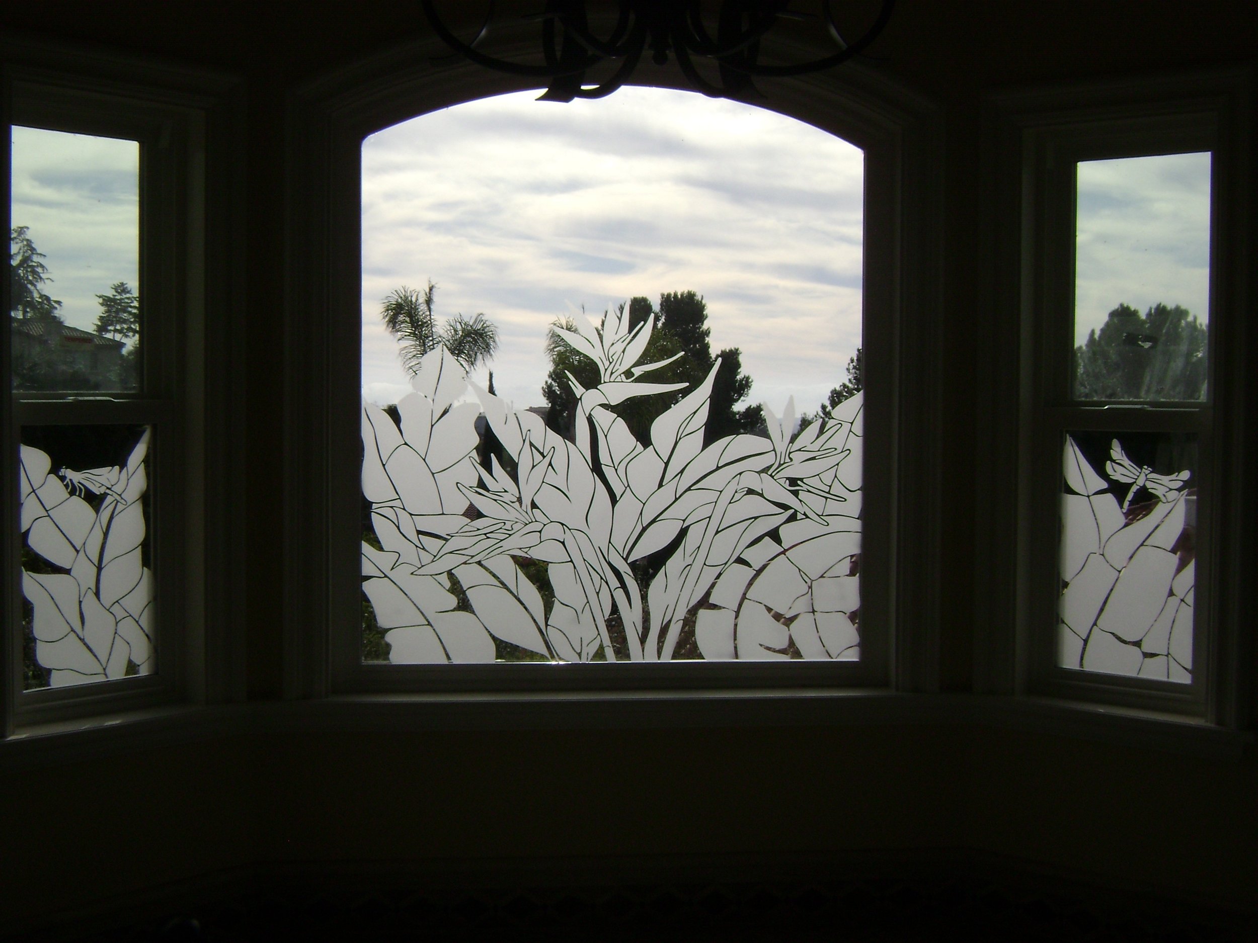  Single Stage Sandblasted bird of paradise and tropical leaf design 